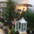 terre et senteur fleuriste Cavignac 33 img terre et senteur fleuriste Cavignac 33