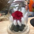 img bouquet sous cloche