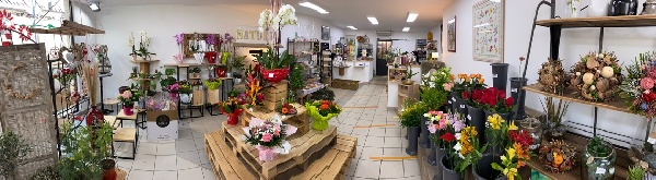 Fleuriste Cavignac